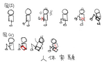 実験結果